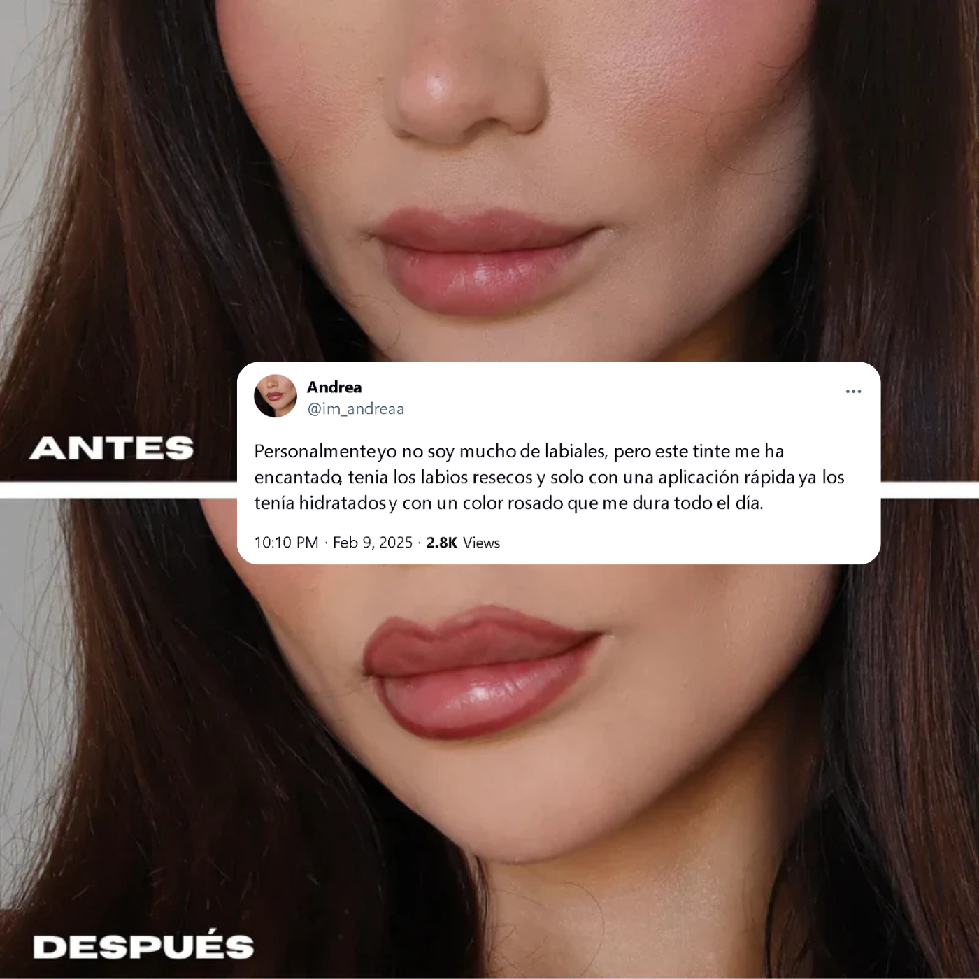 El primer labial peel-off 3 en 1